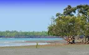 Sundarbans - natural beauty of Bangladesh